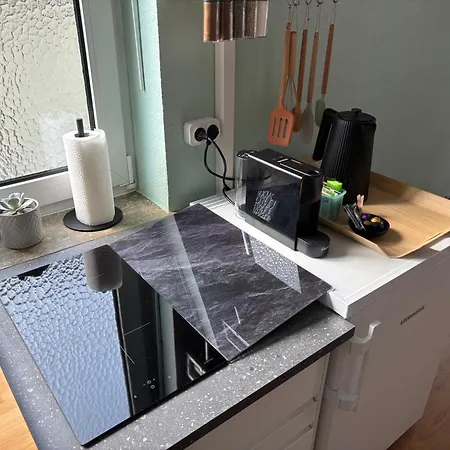 Apartman Im Auerbacher Ortskern Naehe Fuerstenlager *