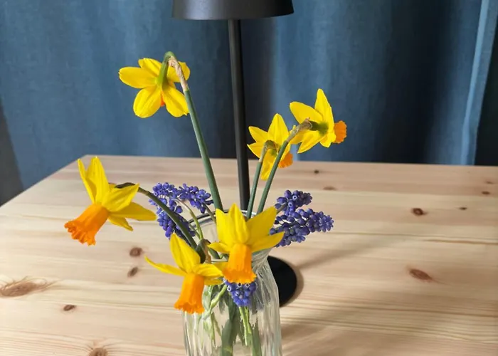 Apartment Im Auerbacher Ortskern Naehe Fuerstenlager